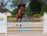 CHIMIRRI B KATAR ItaAss2013- S5 1385 : CHIMIRRI BRUNO, Campionati Italiani 2013, Cattolica, Horse Riviera Resort, KATAR Z, foto di Stefano Secchi ©